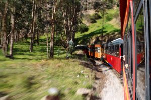 ecuador train