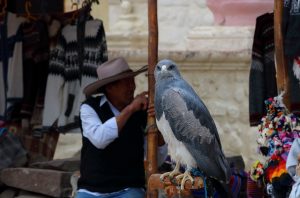 birds of Peru