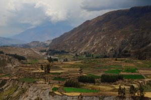 Colca Canyon Peru