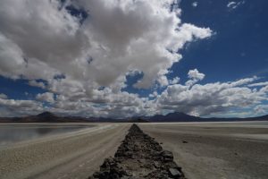 salar de surire chile