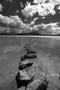 salar de surire chile