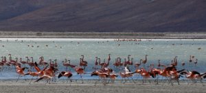 Laguna Route Bolivia