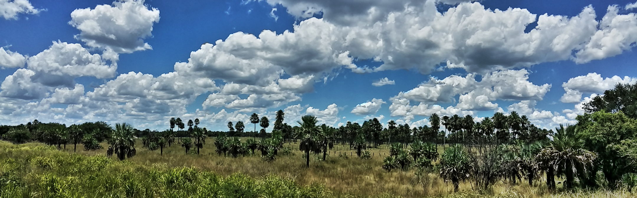 Paraguay blog - The Chaco