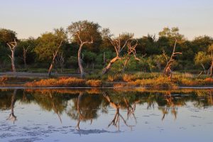 Chaco Paraguay