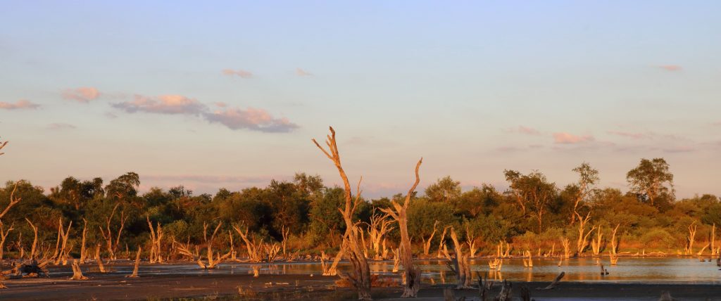 Chaco Paraguay