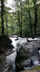 Kaw waterfall french guiana