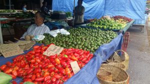 Cayenne Market