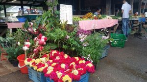 Sinnamary Market French Guiana