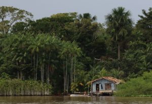 Amazon river village