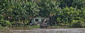 Amazon river village