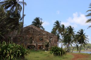 Papillon Island French Guiana