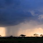 Amboseli Kenya