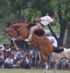 Gaucho Rodeo Argentina