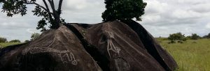 Aishalton Petroglyphs Guyana