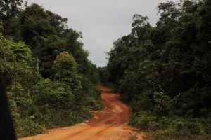 Super-highway Guyana-style