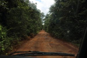 Linden-Lethem highway