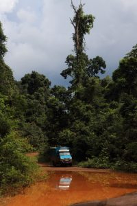 Nice day for a jungle drive Guyana