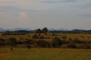 Rupununi Guyana