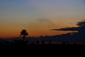 Rupununi sunset