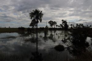 Rupununi Guyana