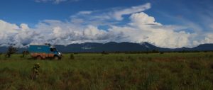 Rupununi views