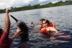 swimming with pink dolphins