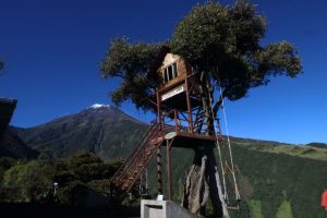 casa del arbol banos ecuador