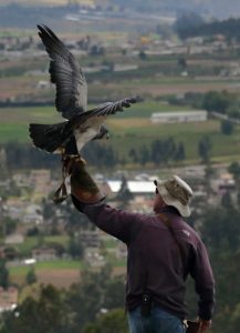 otovalo condor park