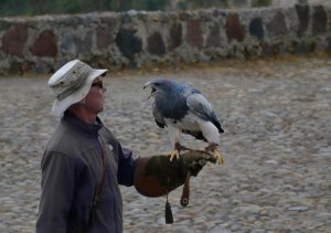 otovalo condor park