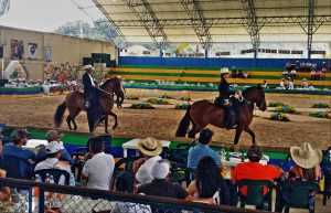 Horse-dancing Colombia