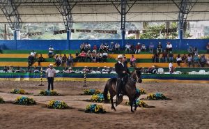 Horse dancing Colombia