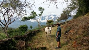 Camino Real Barichara Colombia