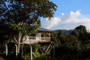 Coffee Hacienda Colombia