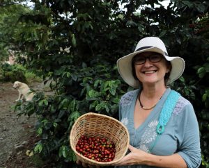 Coffee picker