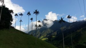 cococra valley colombia