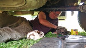 puppy under truck