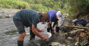 panning for gold in costa rica