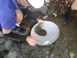 panning for gold