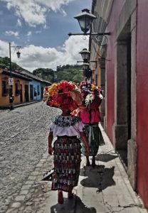 flower sellers antigua