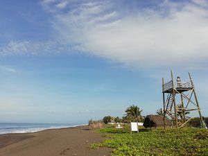 monterrico beach