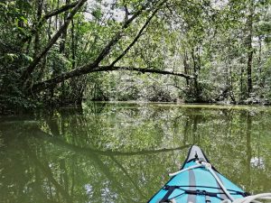 kayaking rio dulce