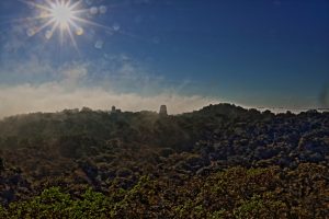 tikal dawn mist