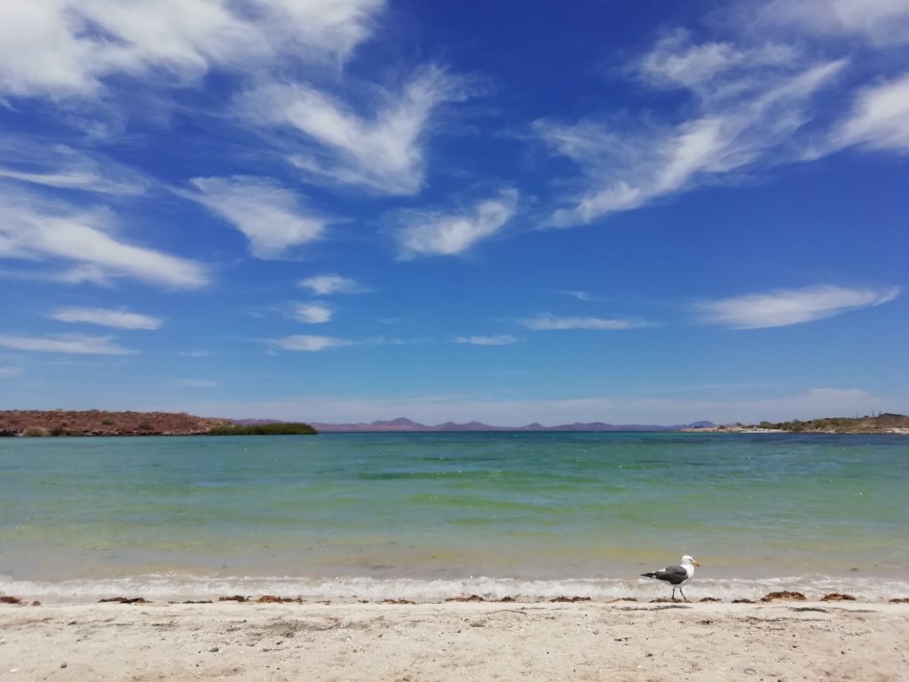 baja california beach