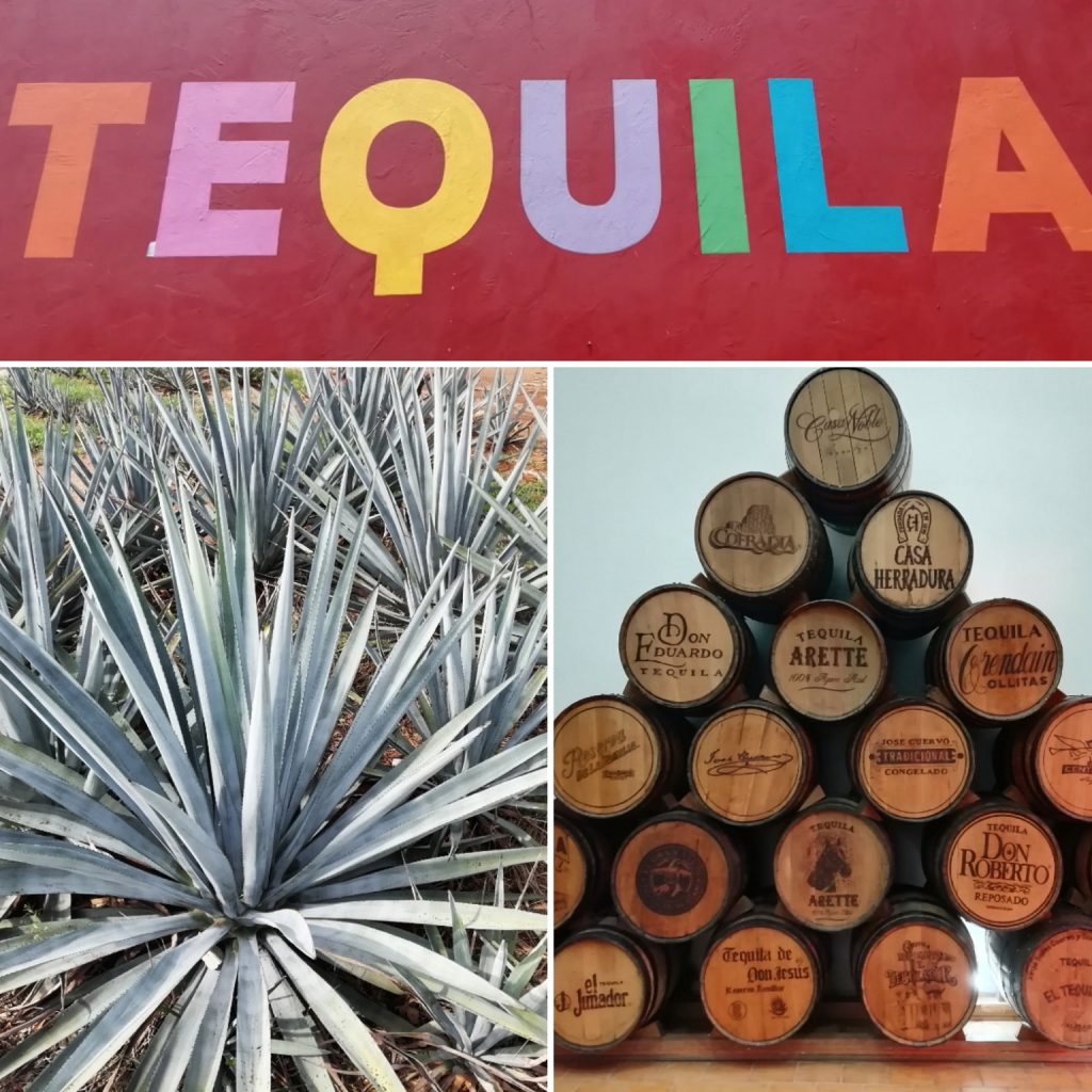 tequila middle mexico