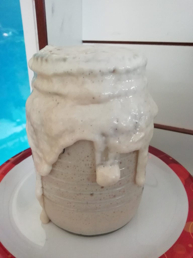 sourdough starter