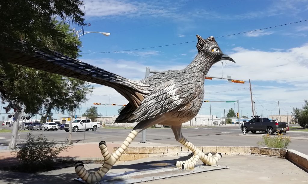 roadrunner texas overlanding