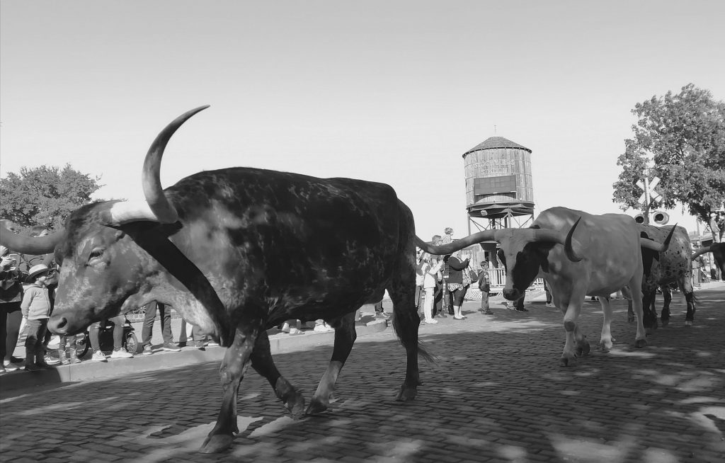 fort worth stockyards