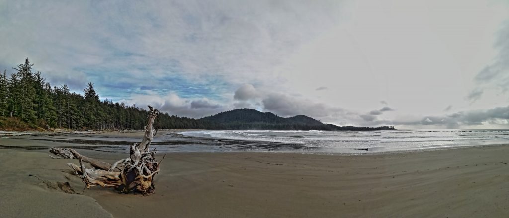 Vancouver Island, Raft Cove