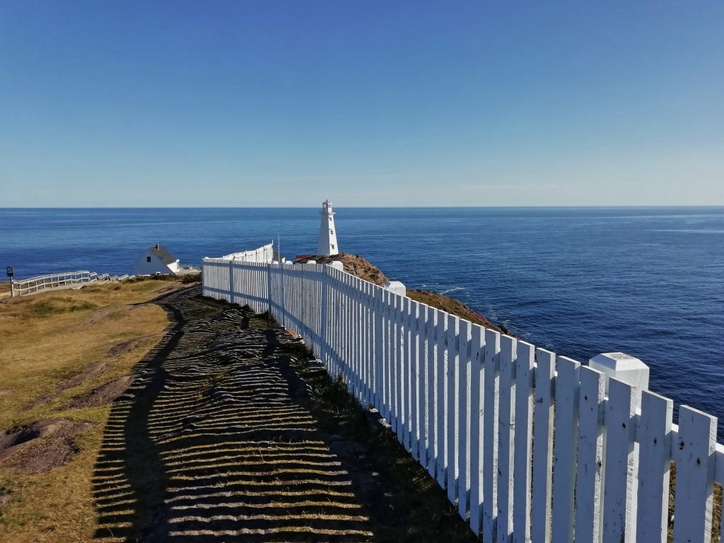 overland newfoundland