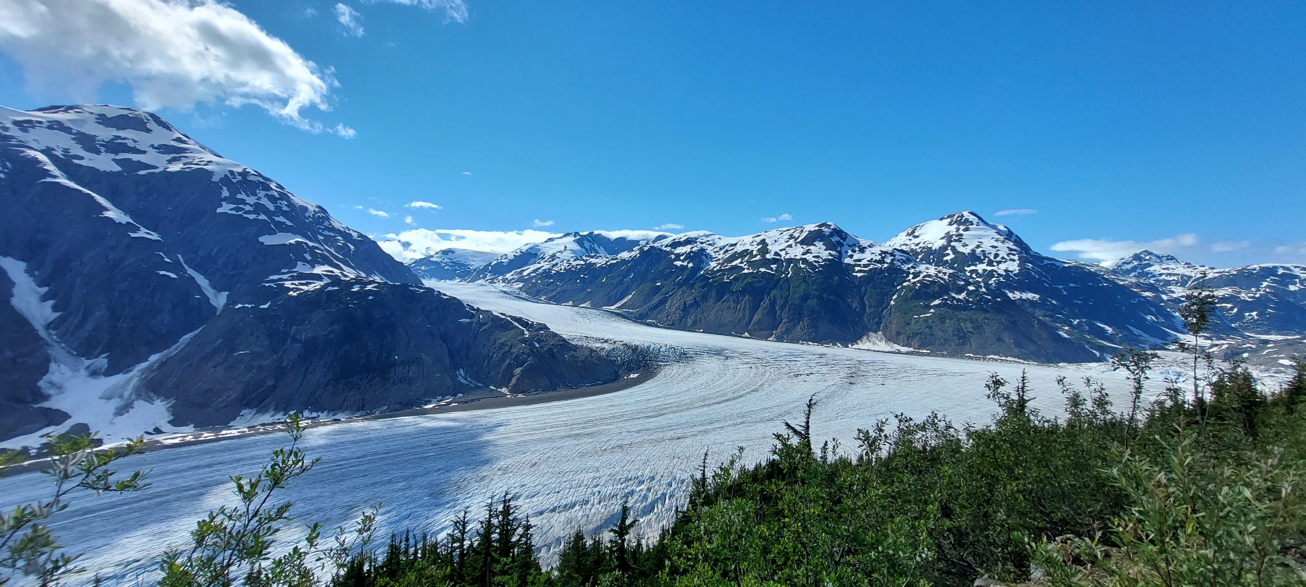 salmon glacier